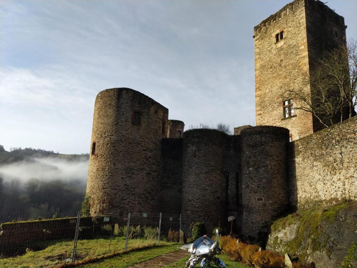 Chambre D'Hotes Au Chateau De Belcastel Belcastel  Kültér fotó