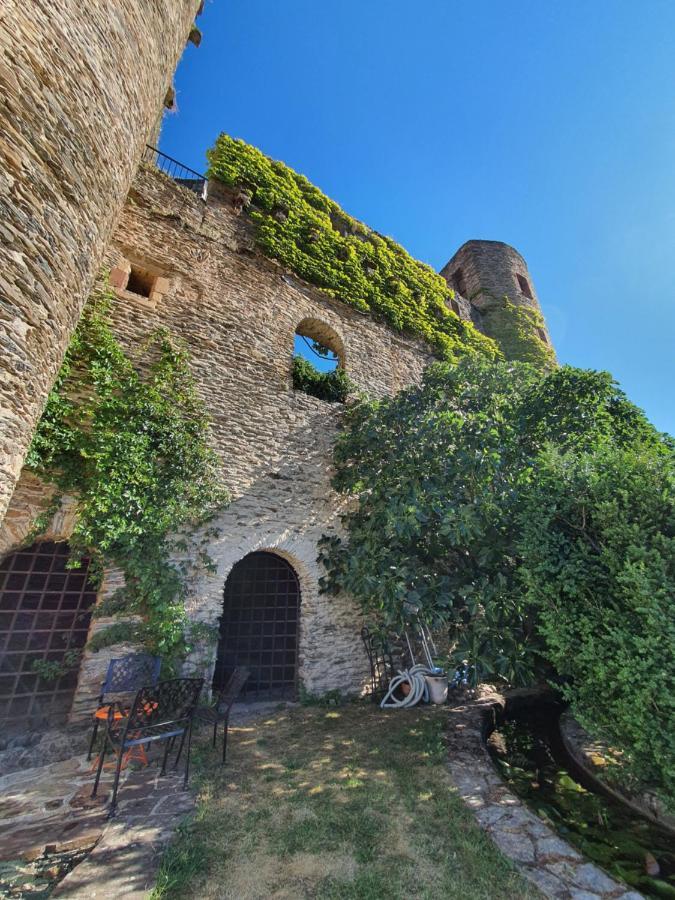 Chambre D'Hotes Au Chateau De Belcastel Belcastel  Kültér fotó