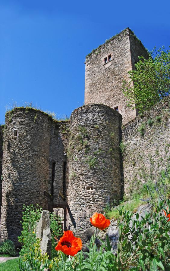 Chambre D'Hotes Au Chateau De Belcastel Belcastel  Kültér fotó