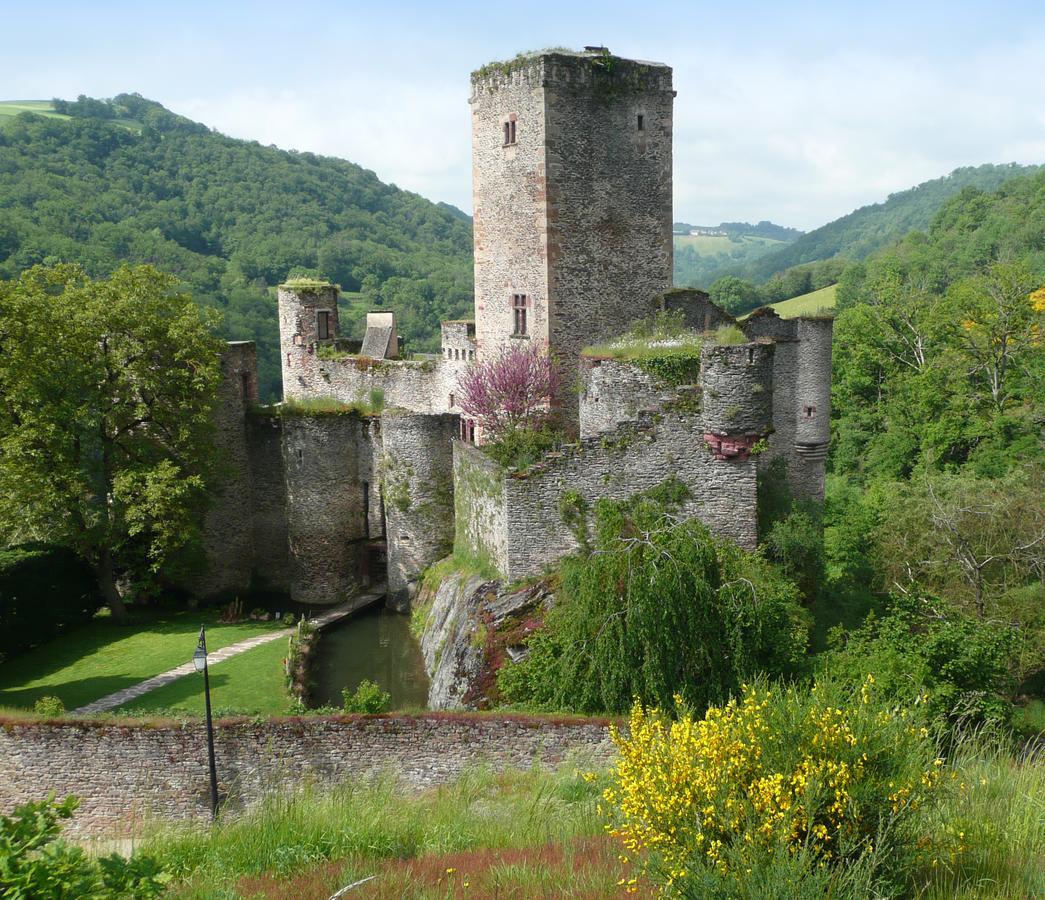 Chambre D'Hotes Au Chateau De Belcastel Belcastel  Kültér fotó